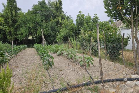 Landejendom i Rute, Cordoba, Rute - € 325.000 | Ref: Ella - foto 43
